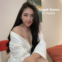 DJ Rabbit